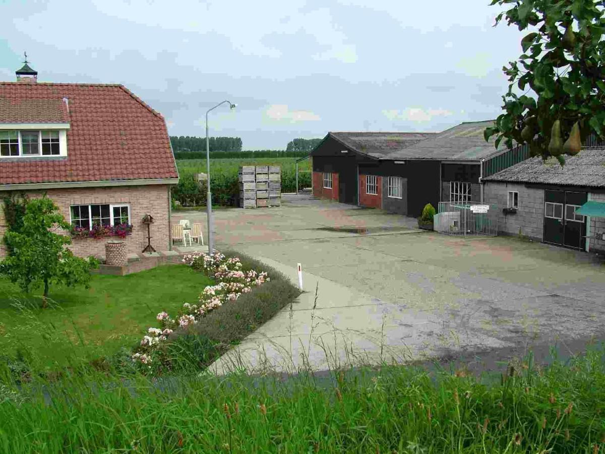 Chalet Elstar Hengstdijk Exterior photo